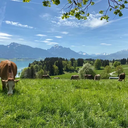 Butler Boho Boutique Netflix Apartman *