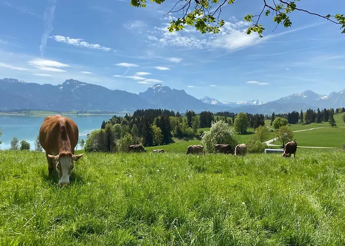 Butler Boho Boutique Netflix Appartement *